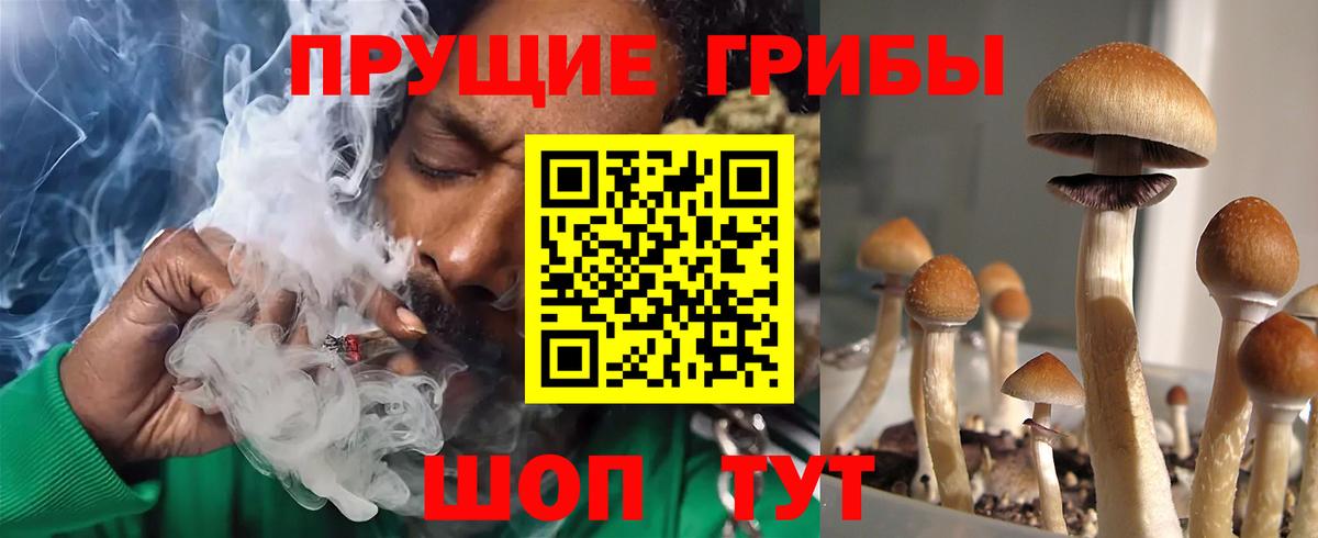 Галлюциногенные грибы GOLDEN TEACHER  Псилоцибиновые грибы мицелий  Сургут  Вход с VPN 